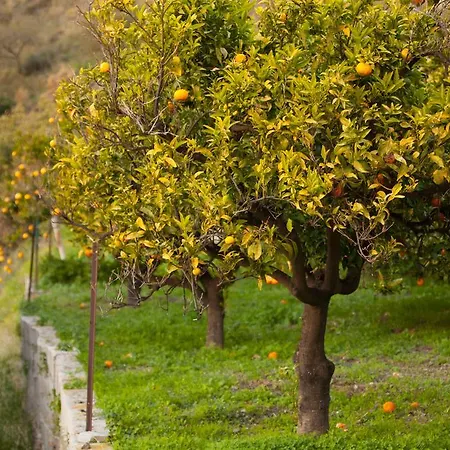 Finca La Herradura La Herradura  Kamer foto
